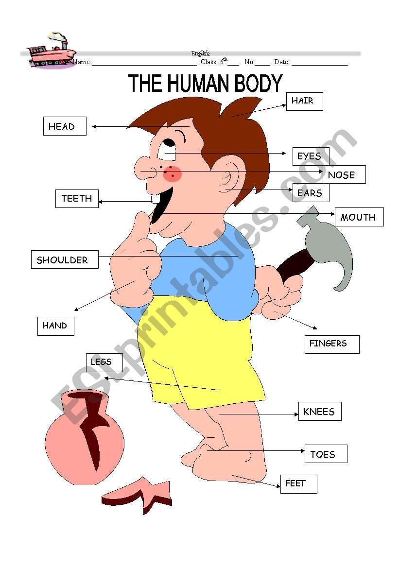 Body Label worksheet