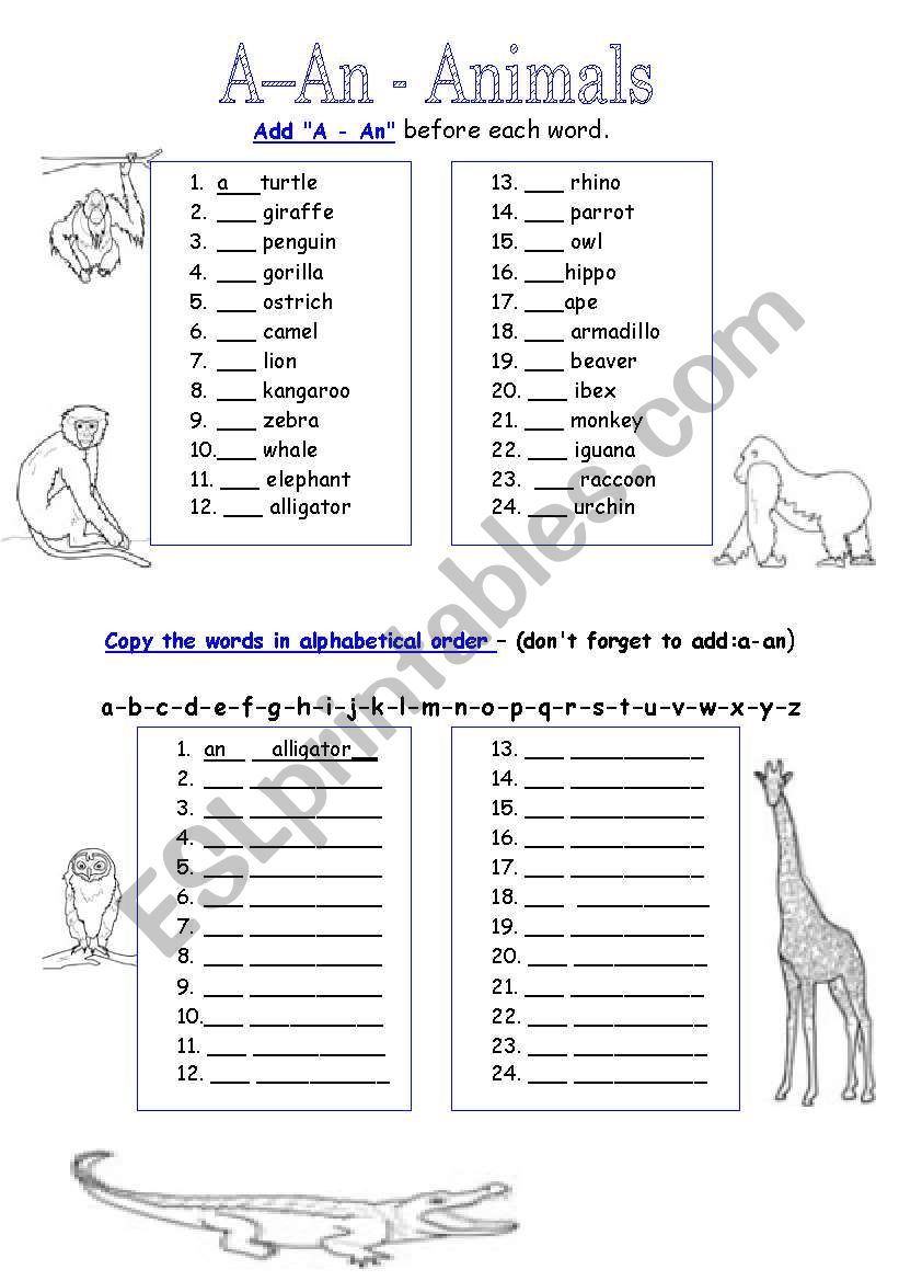 A - An Animals worksheet