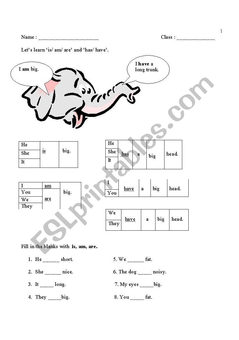 Is/Am/Are and Has/Have worksheet