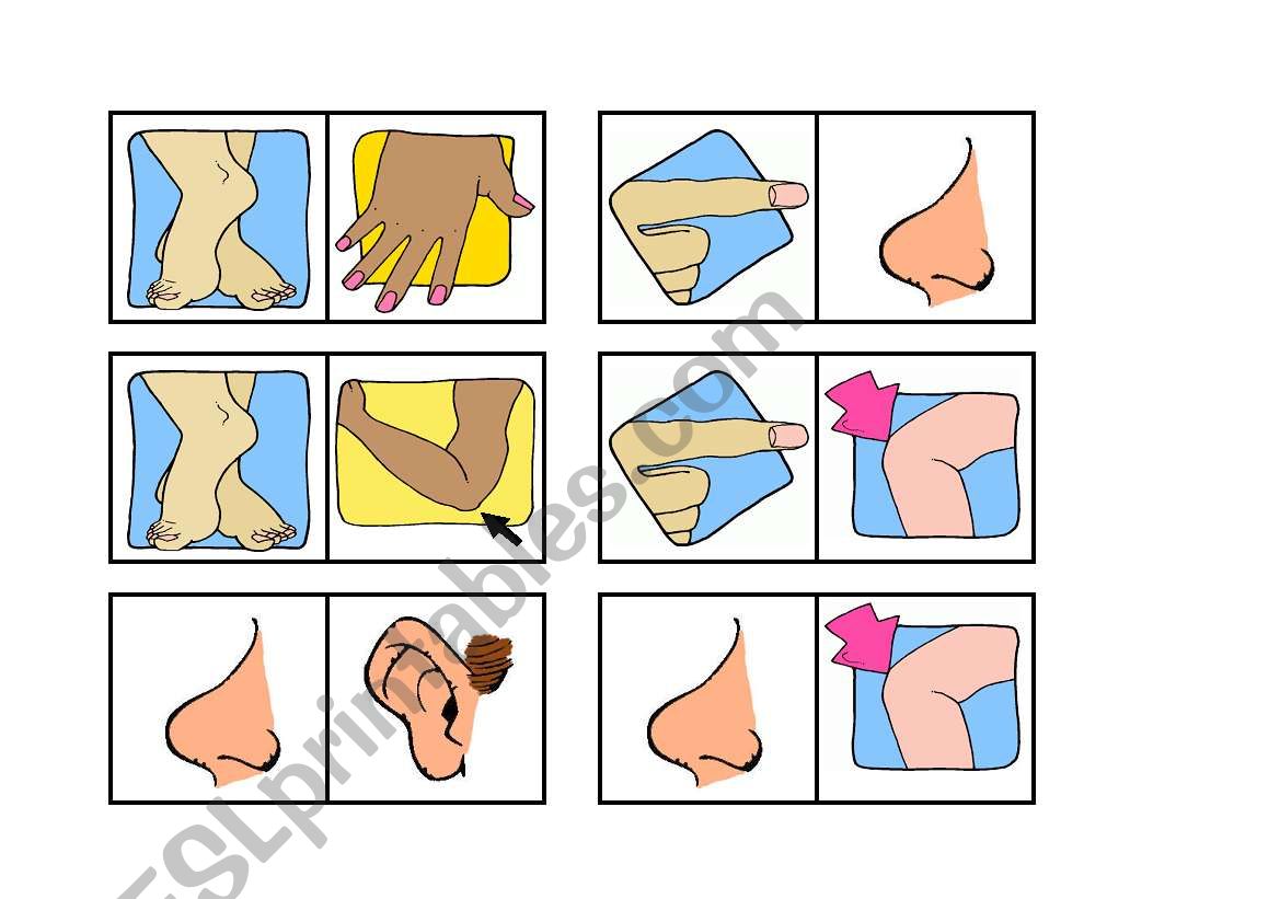 Matching body parts game worksheet