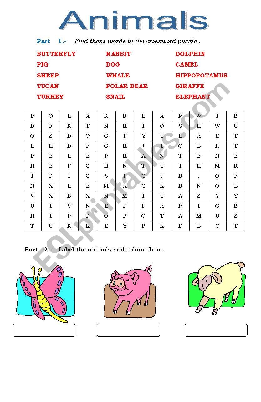 animals worksheet