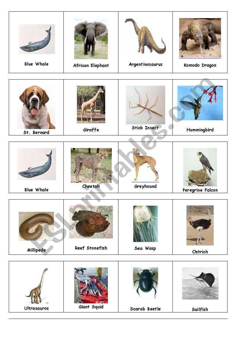 world record animals worksheet