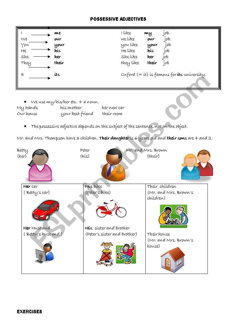 possessive adjectives worksheet