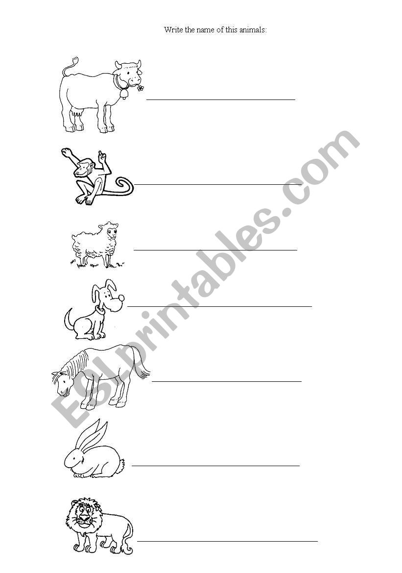 animals worksheet