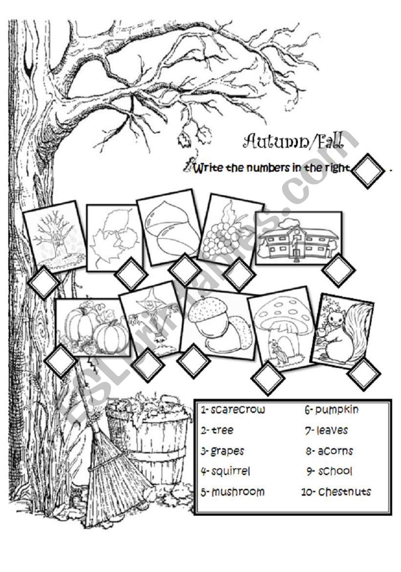 Autumn vocabulary worksheet