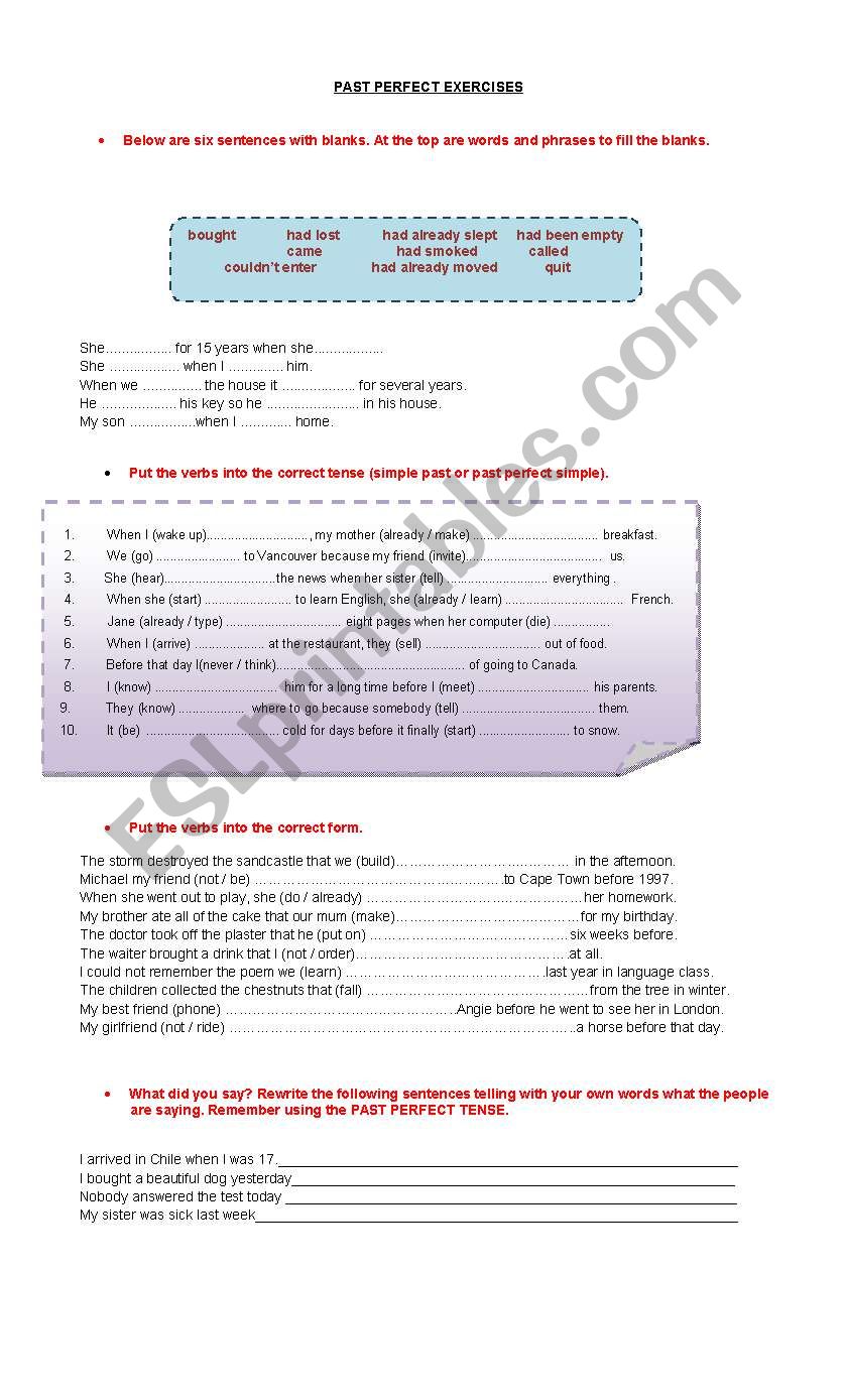 Past perfect exercises worksheet
