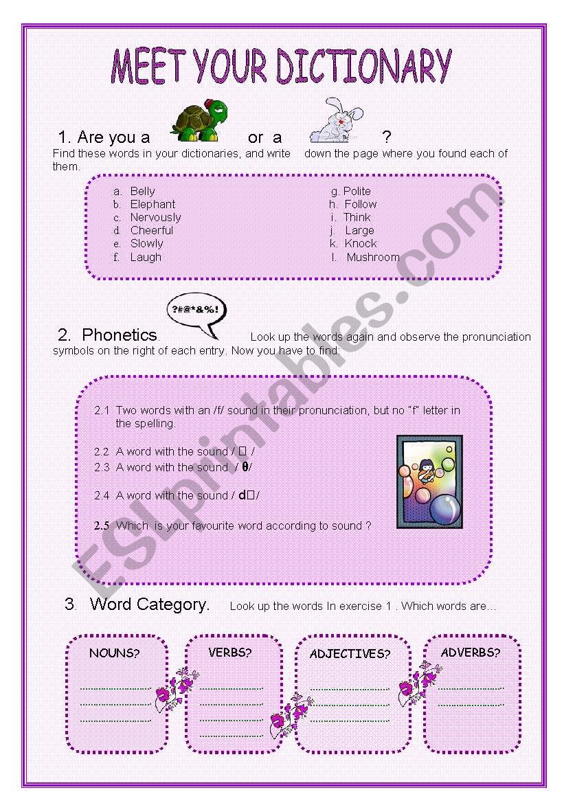 DICTIONARY SKILLS worksheet