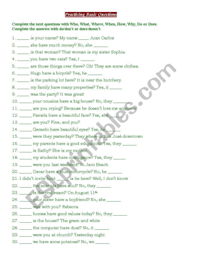 Practicing Basic Questions worksheet