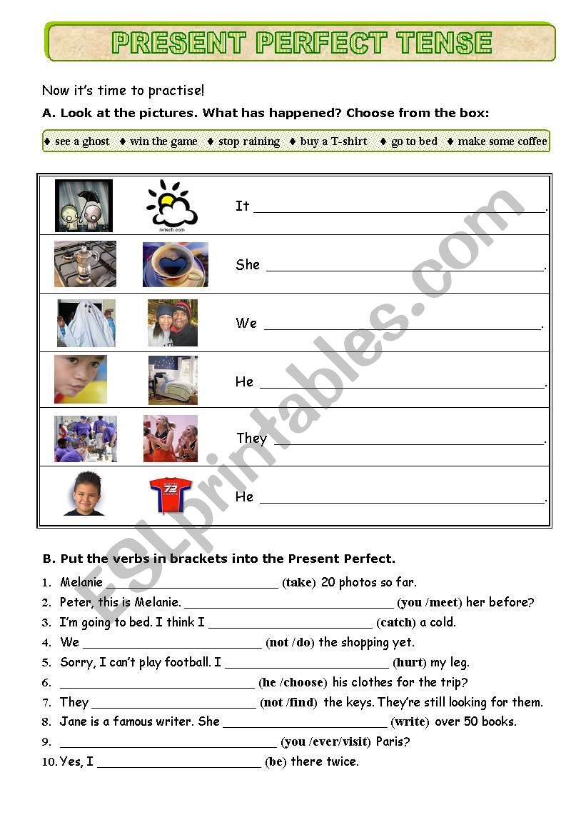 Present perfect Tense worksheet