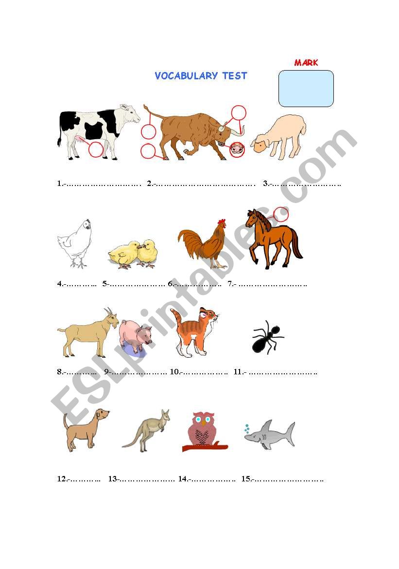 ANIMALS TEST worksheet