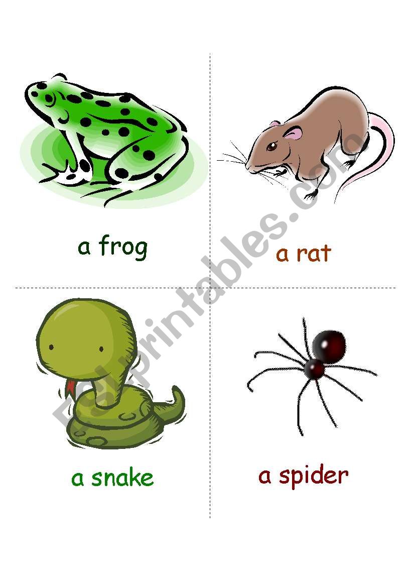 animals worksheet