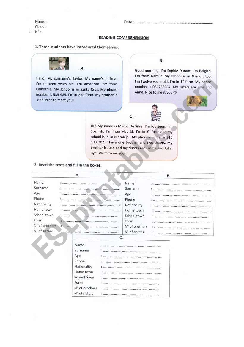 Reading Comprehension - introductions 