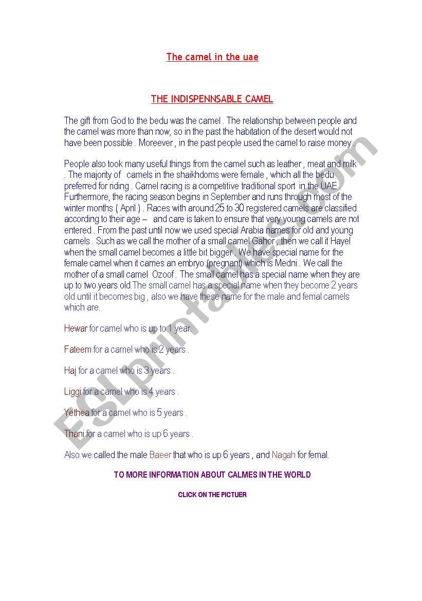 the camel in the U.A.E worksheet