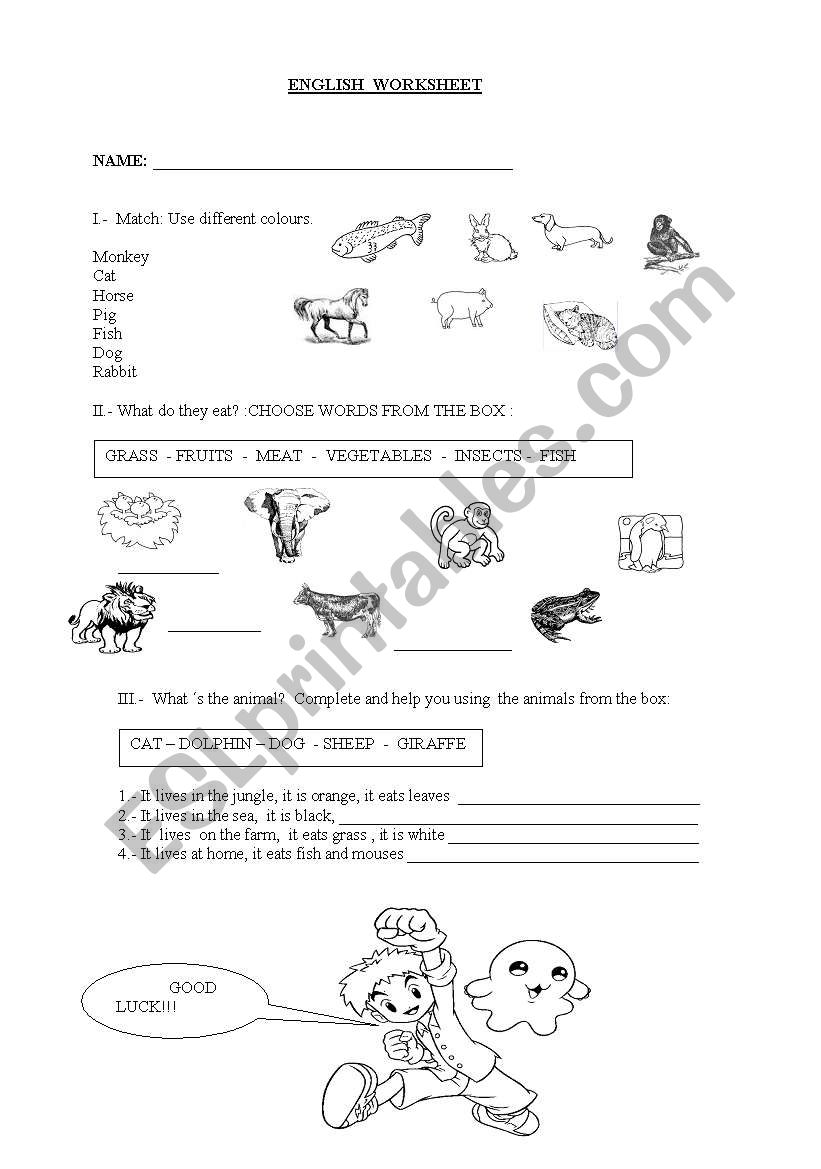 What do they eat ? worksheet
