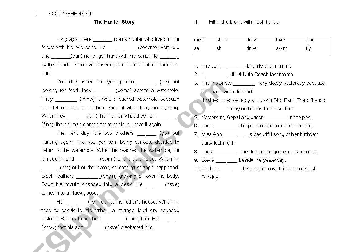 The Hunter COMPREHENSION with Simple Past Tense Exercise