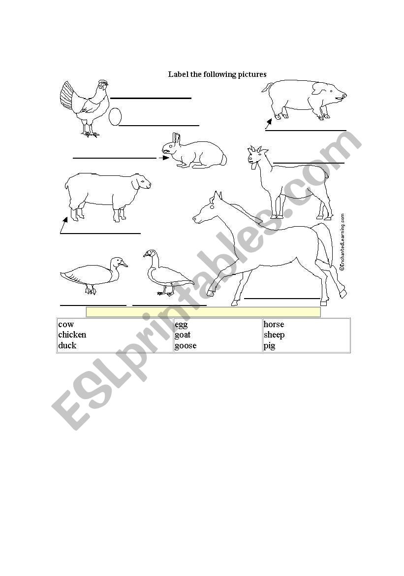 Farm animals worksheet