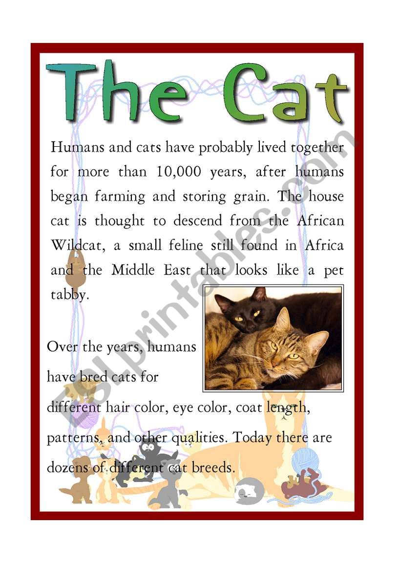 The Cat worksheet