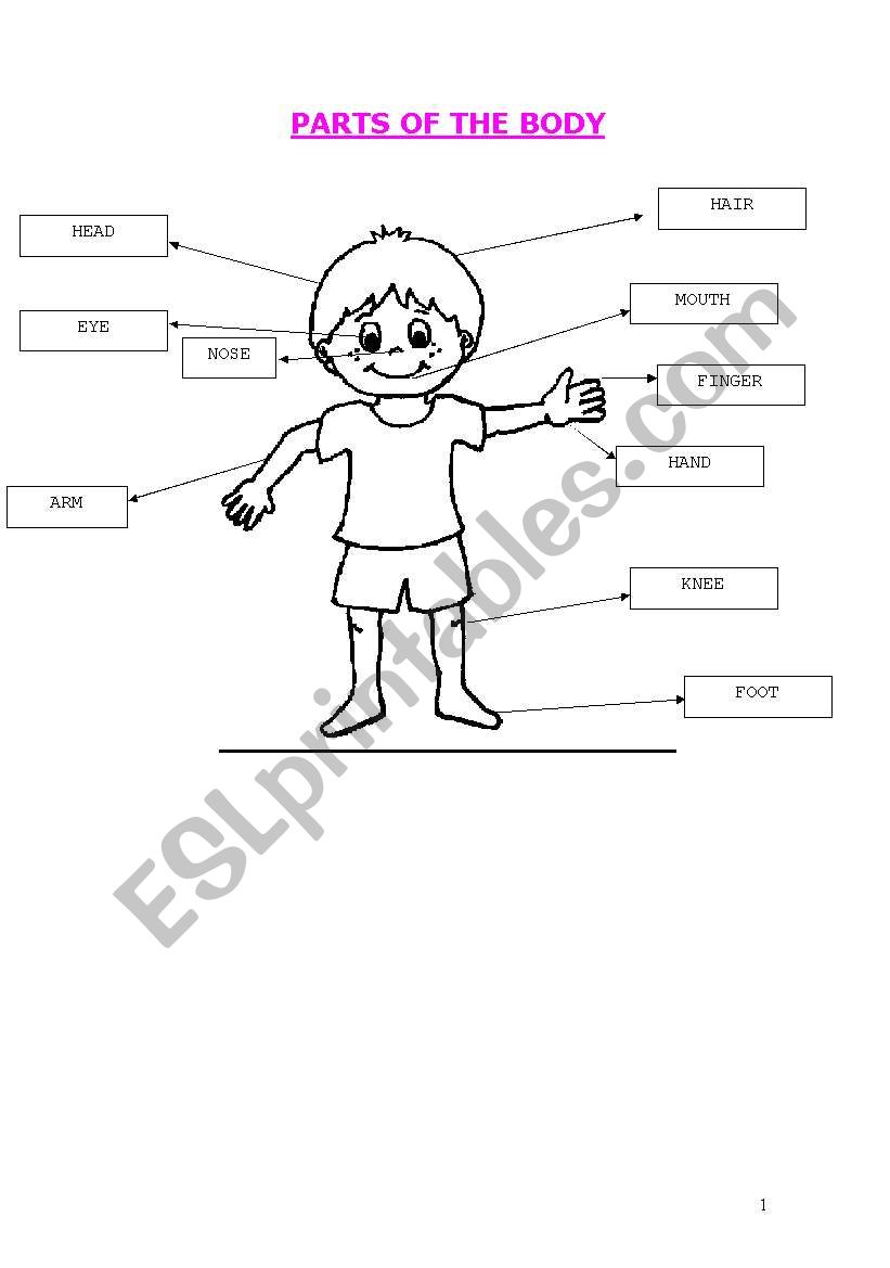 game with colours and parts of the body