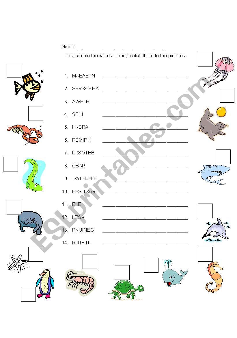 MARINE ANIMALS worksheet