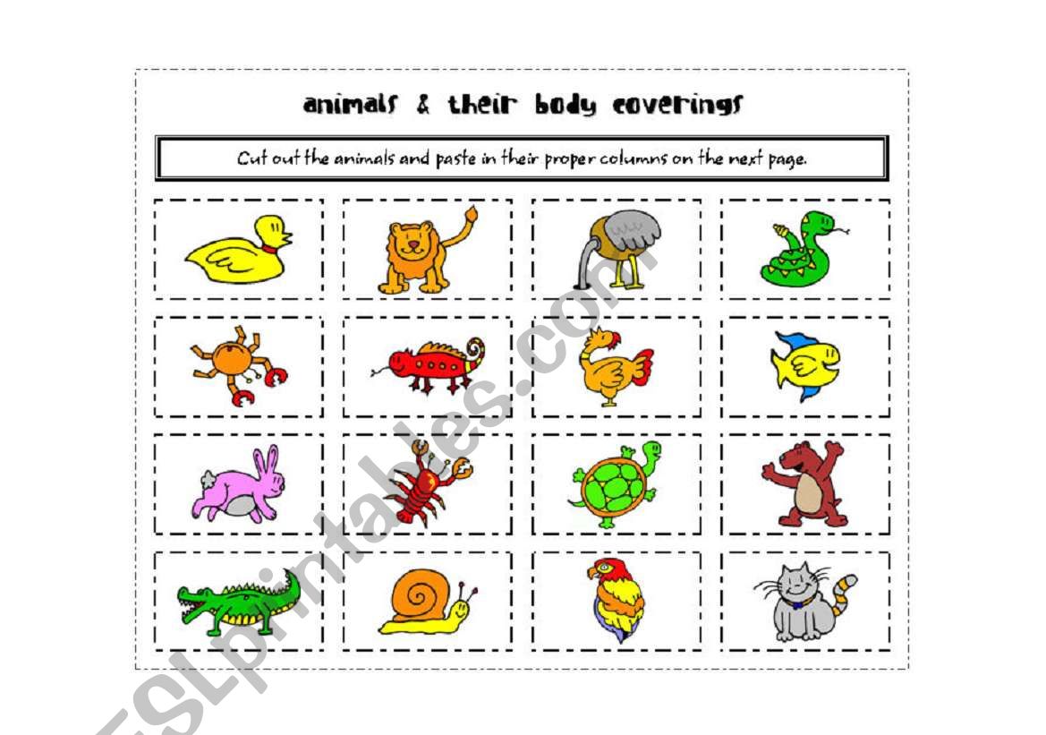 ANIMALs & their body coverings - ESL worksheet by mischa