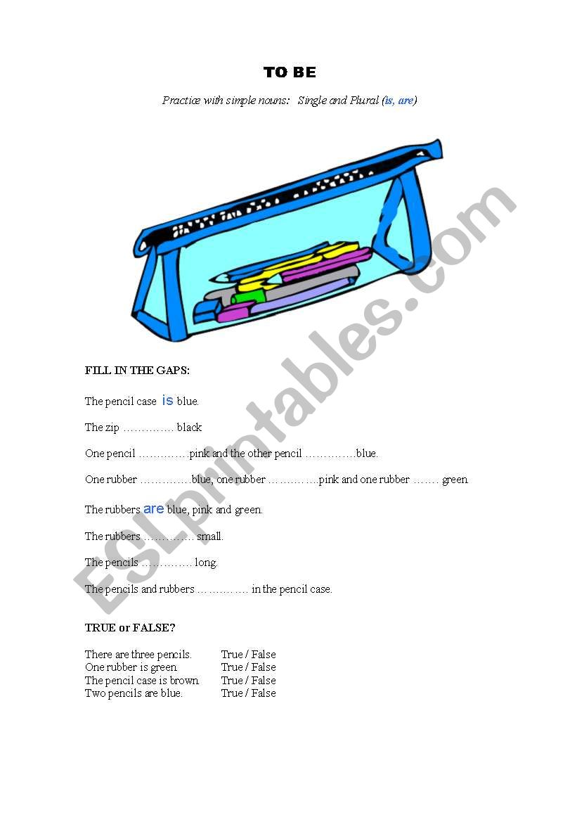 TO BE - simple nouns (single and plural)