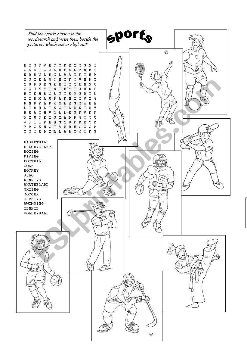 sports worksheet