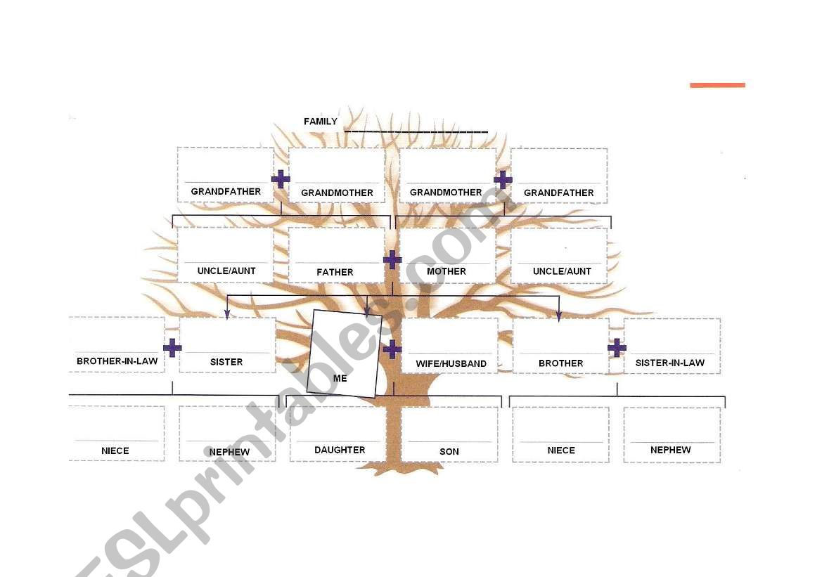 Family tree worksheet