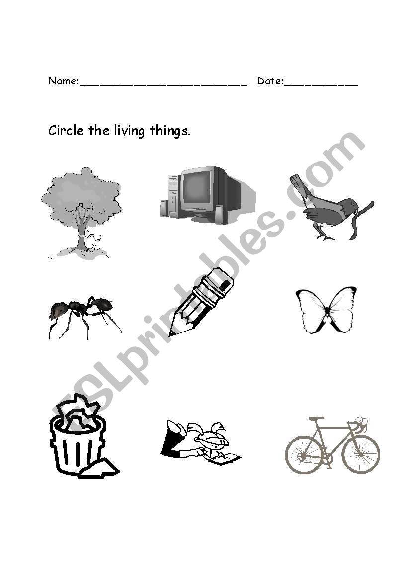 Circle the living things worksheet