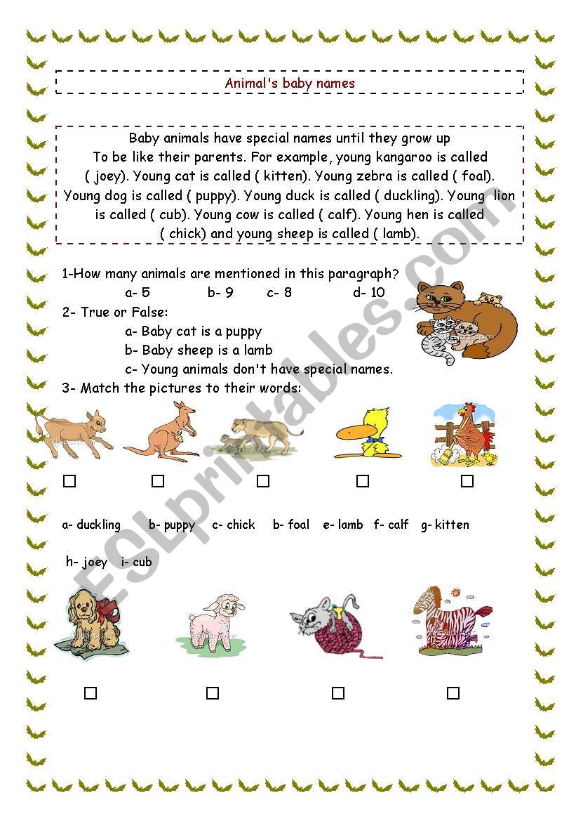 Animals baby names worksheet