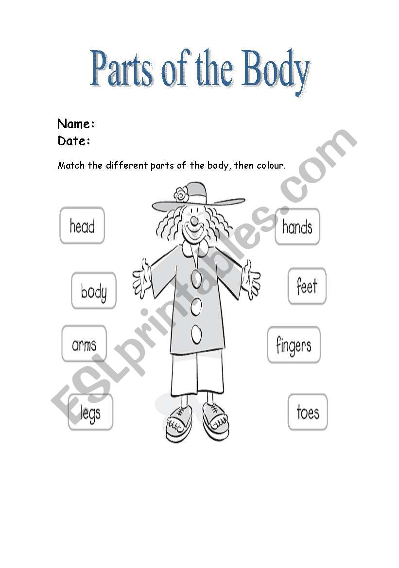 Parts of the body worksheet