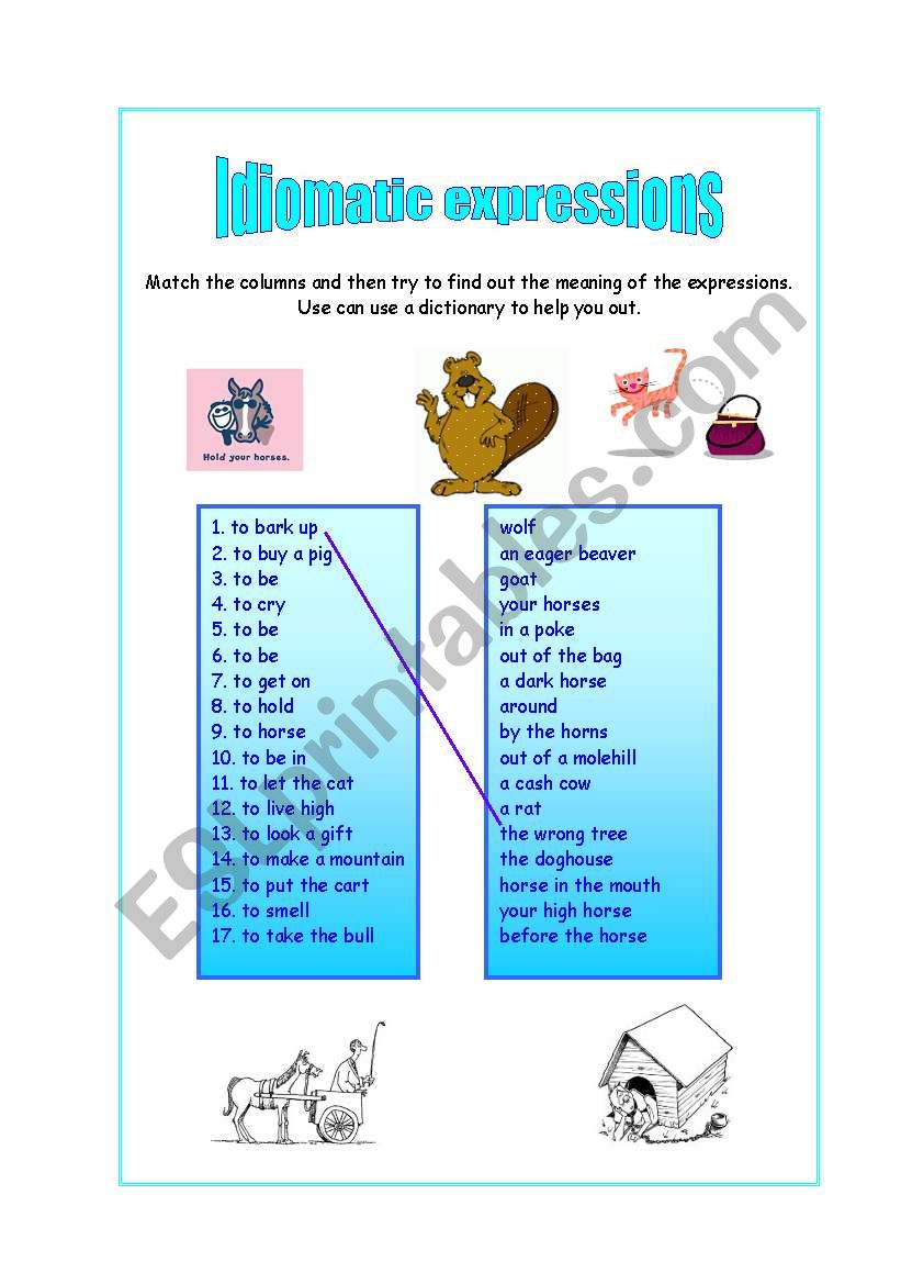 Idiomatic Expressions worksheet