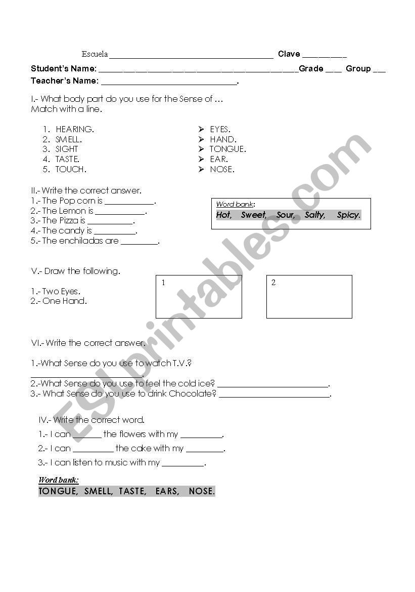 FIVE SENSES TEST worksheet