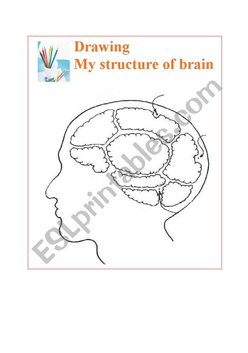Drawing structire of brain worksheet