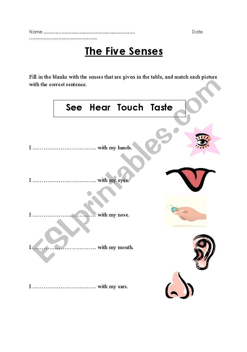 The Five Senses worksheet