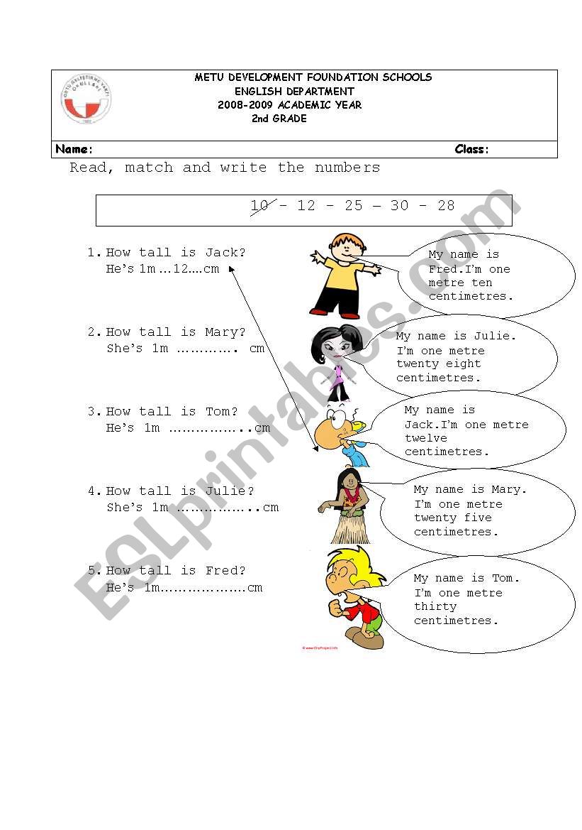 measurements worksheet