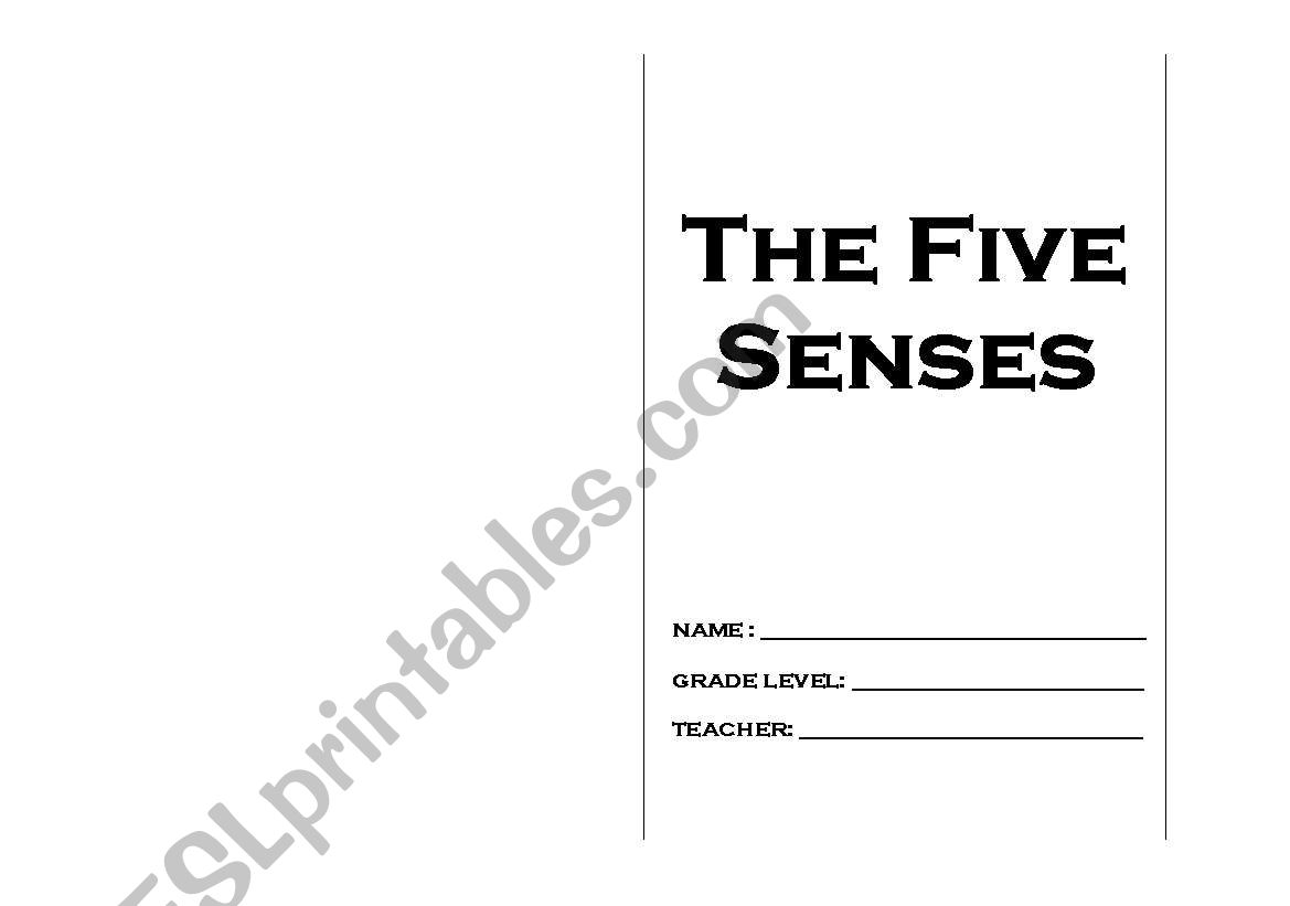 The Five Senses worksheet