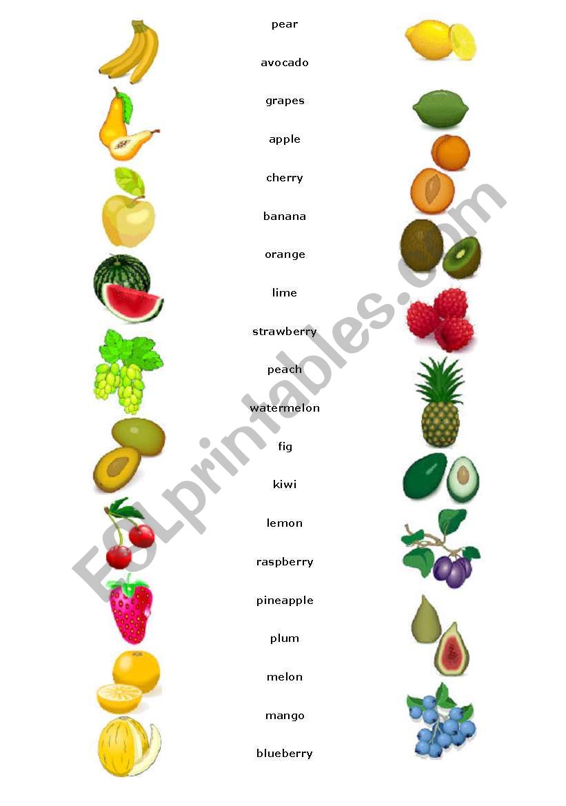 FRUIT worksheet