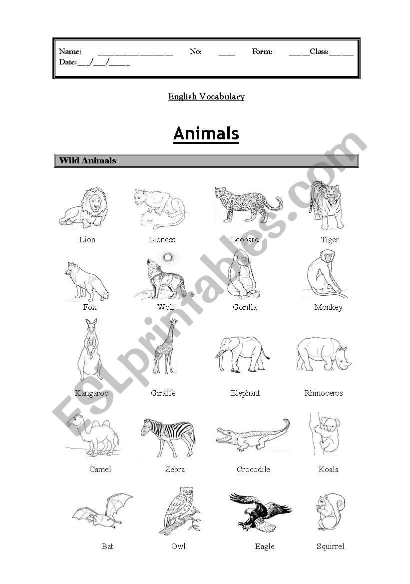 Vocabulary: wild animals worksheet