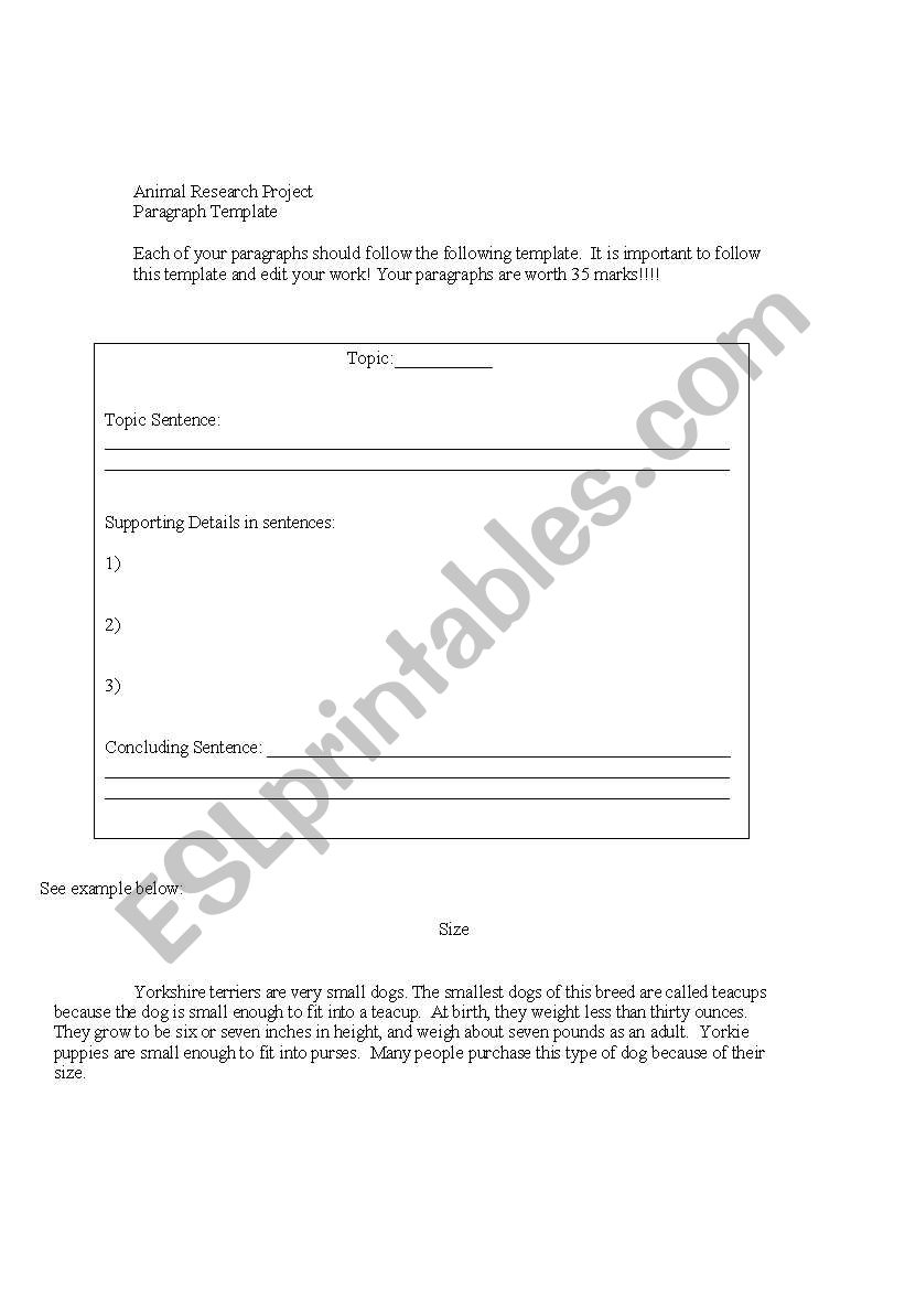 Teaching Paragraph Writing worksheet