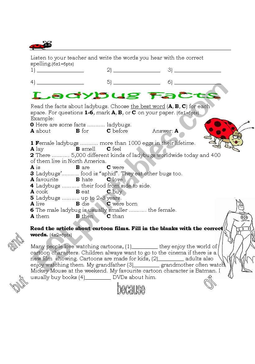quiz worksheet