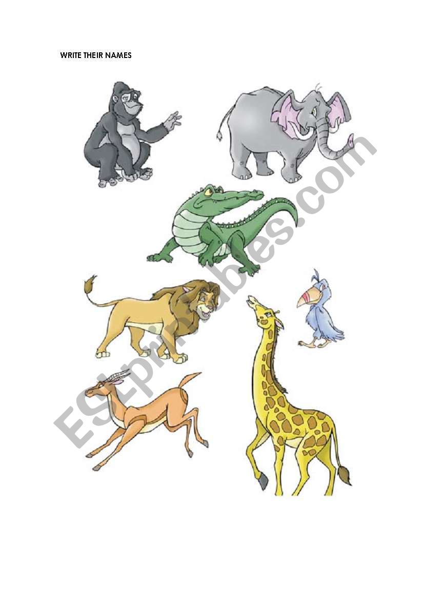 animals worksheet