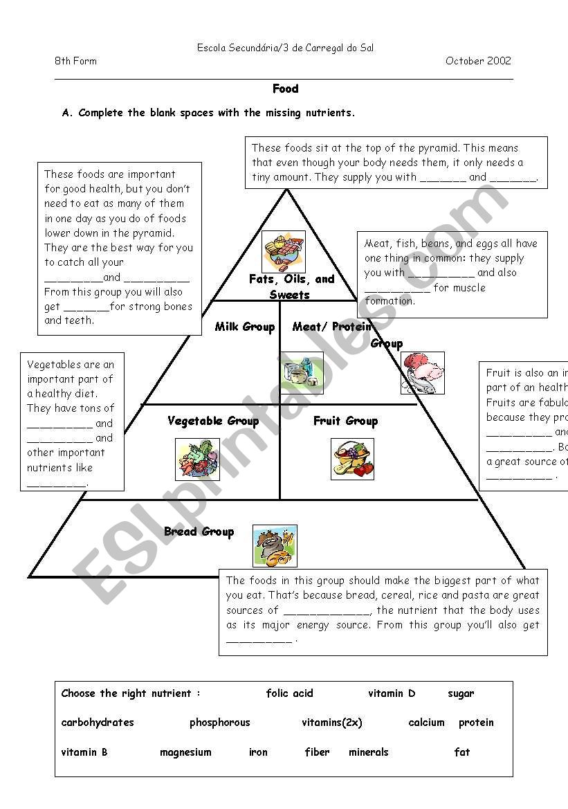 food pyramid worksheet