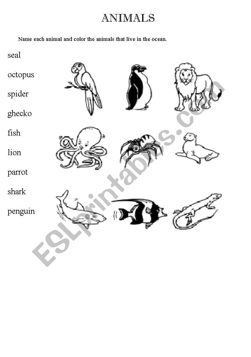 animals worksheet