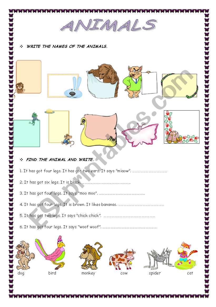 animals worksheet