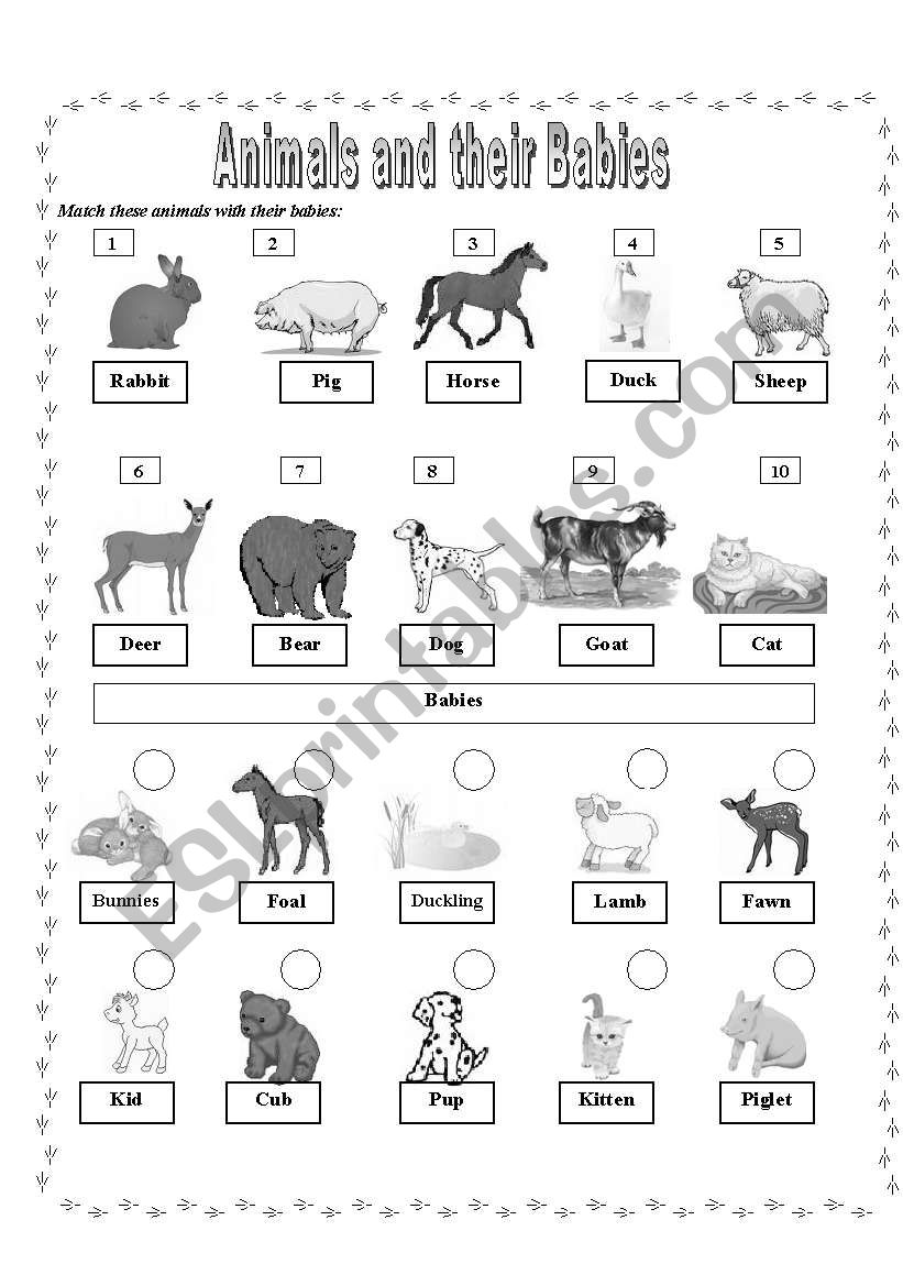 Animals And Babies Pictionary (B&W) - ESL worksheet by PurpleFlower