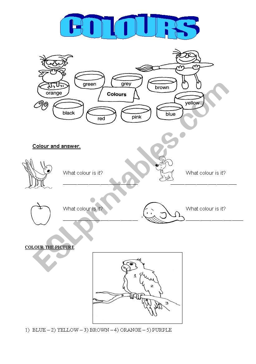 Colours worksheet