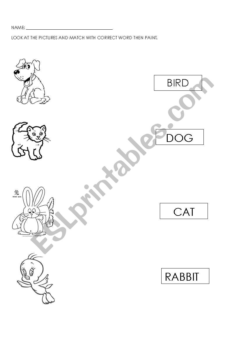 pets worksheet