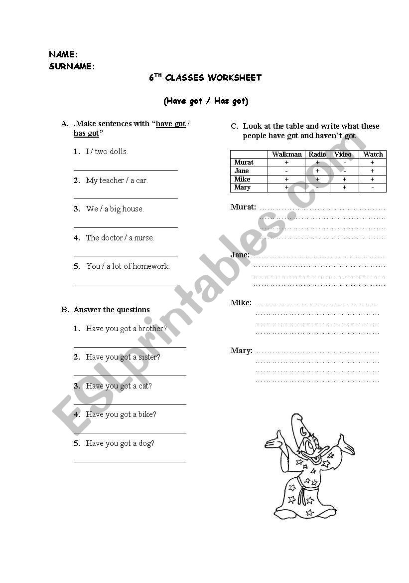 have got has got worksheet