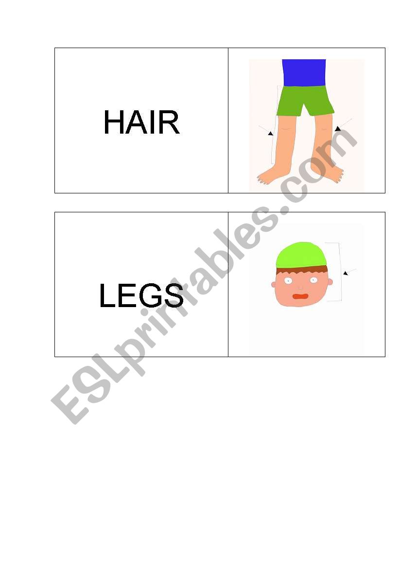  Body dominoes ( hair-legs) worksheet