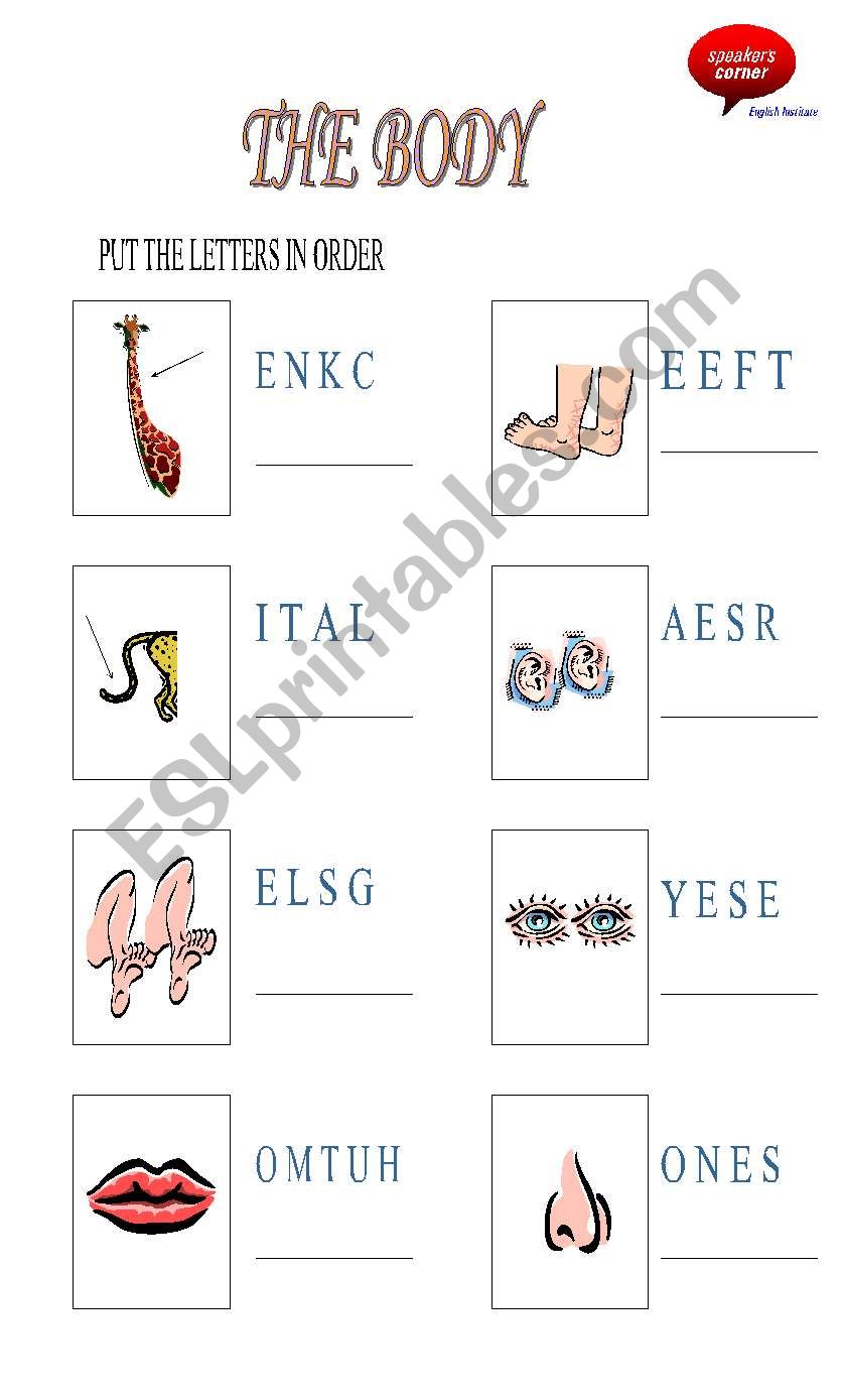 Parts of the body worksheet